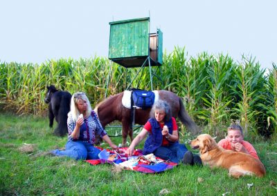 Picknick beim Schäferwagen Oberlausitz